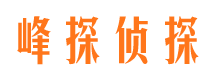 青阳婚外情调查取证